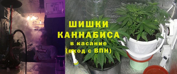 ГАЛЛЮЦИНОГЕННЫЕ ГРИБЫ Дегтярск