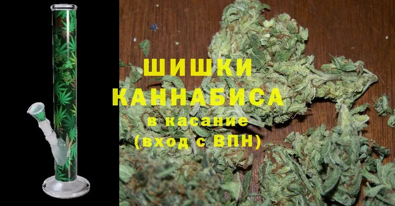 Бошки марихуана SATIVA & INDICA  как найти наркотики  Арск 